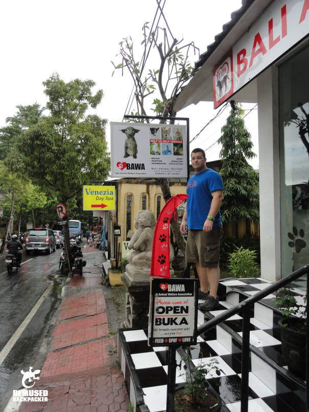 Gap year volunteering in Bali with BAWA