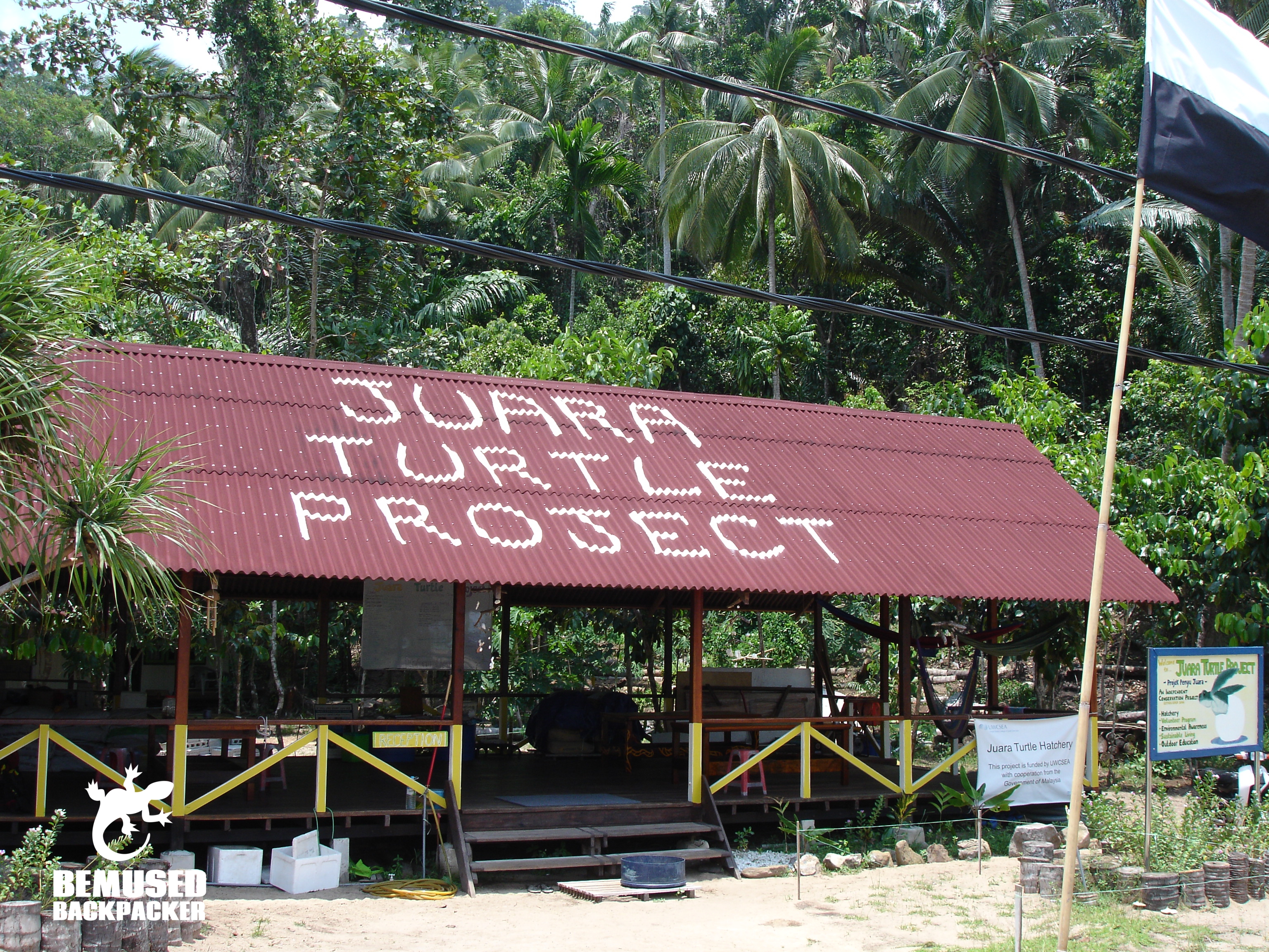 Juara Turtle Project Tioman Island Malaysia