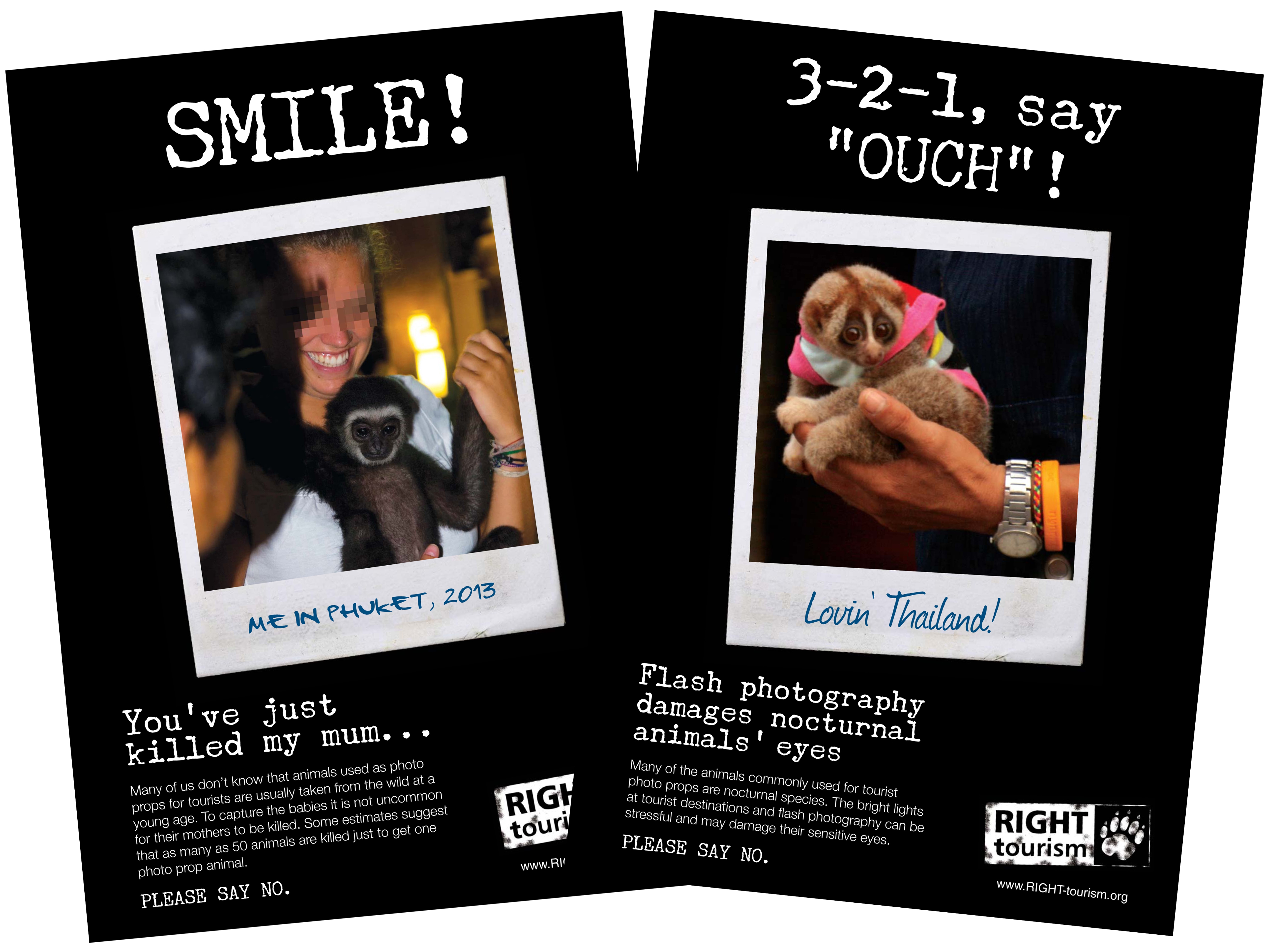 responsible wildlife tourism practices.