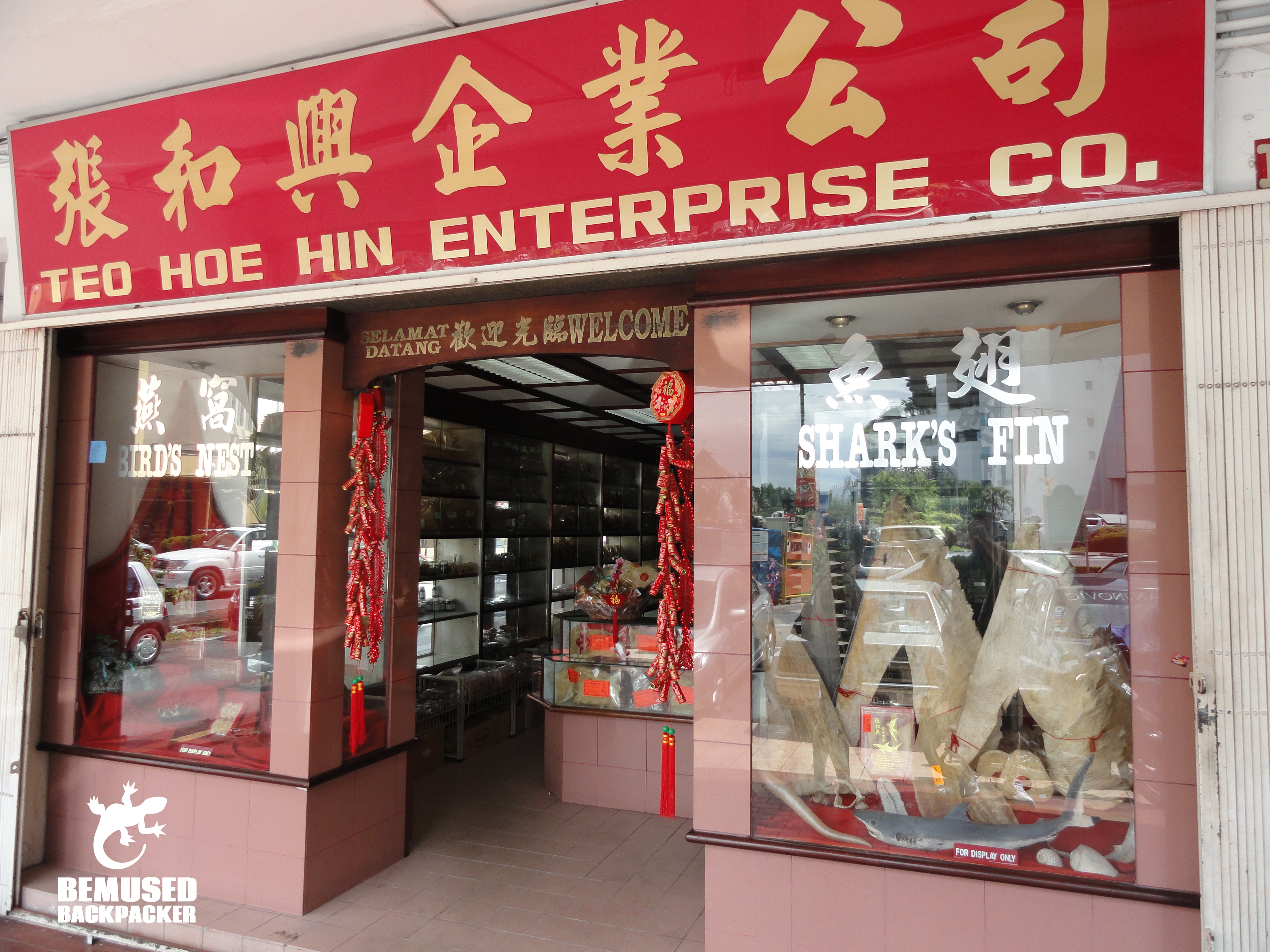 Unethical tourism sharks fin soup