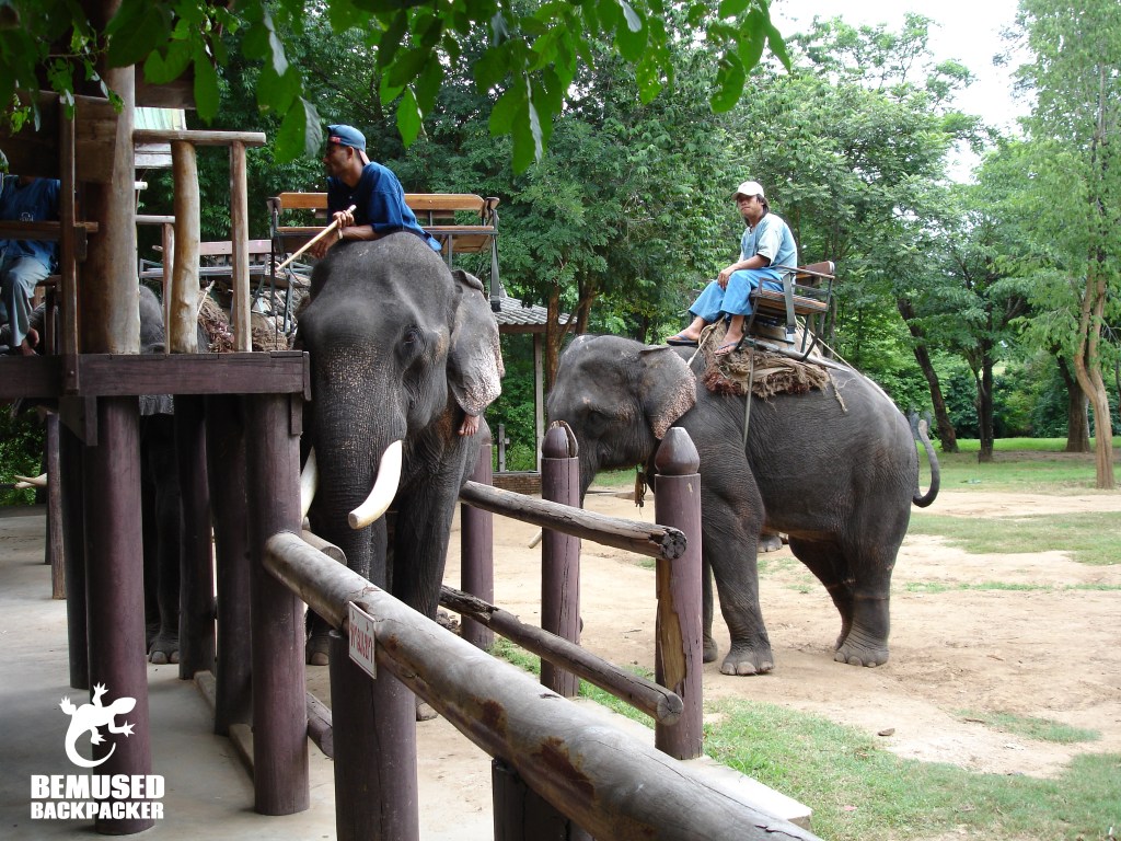 Don't ride elephants in Thailand