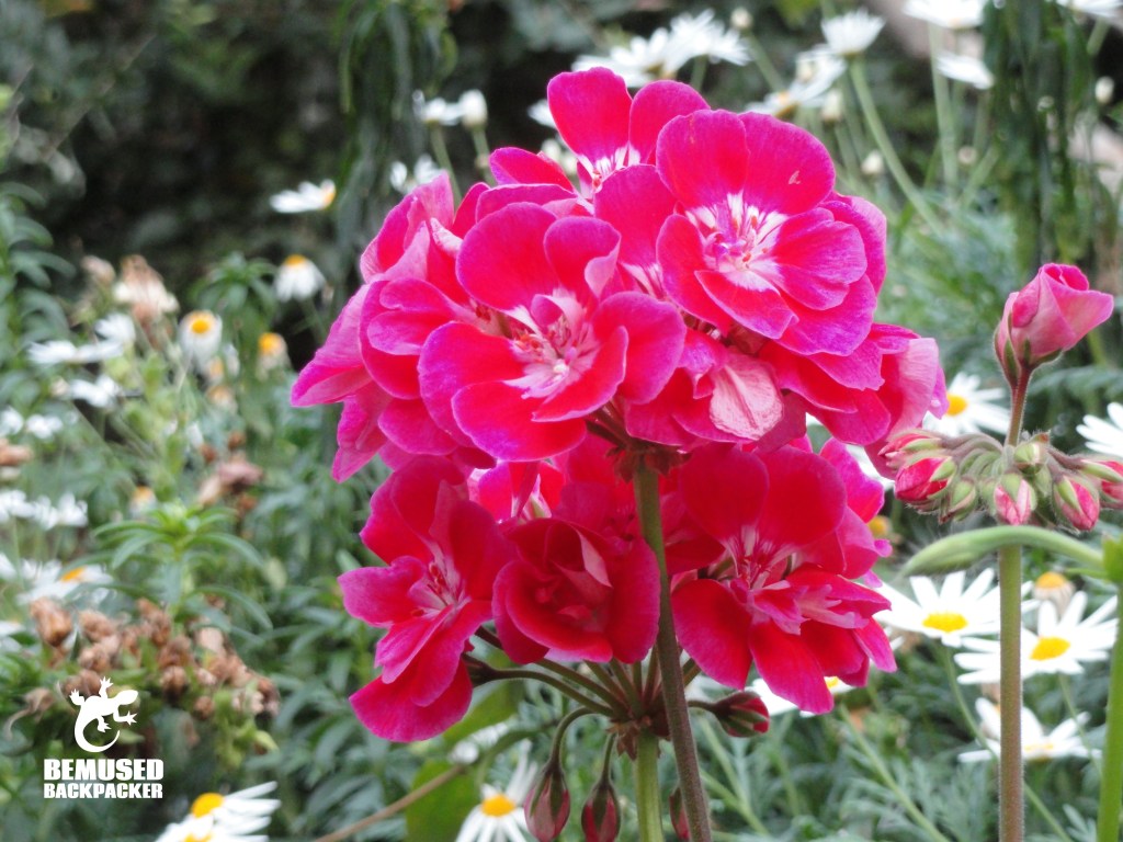 Singapore Botanical Gardens