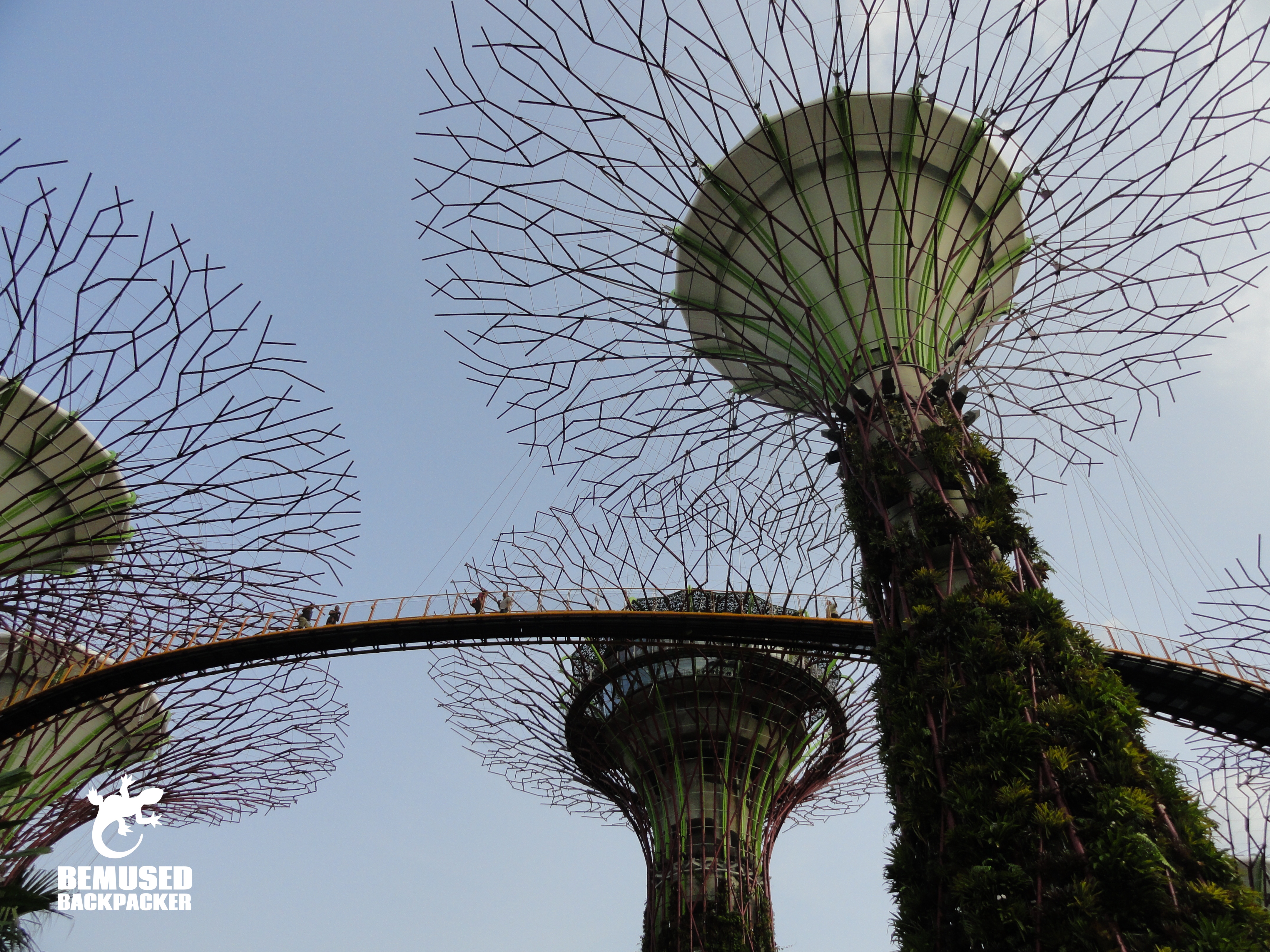 Singapore Supertrees