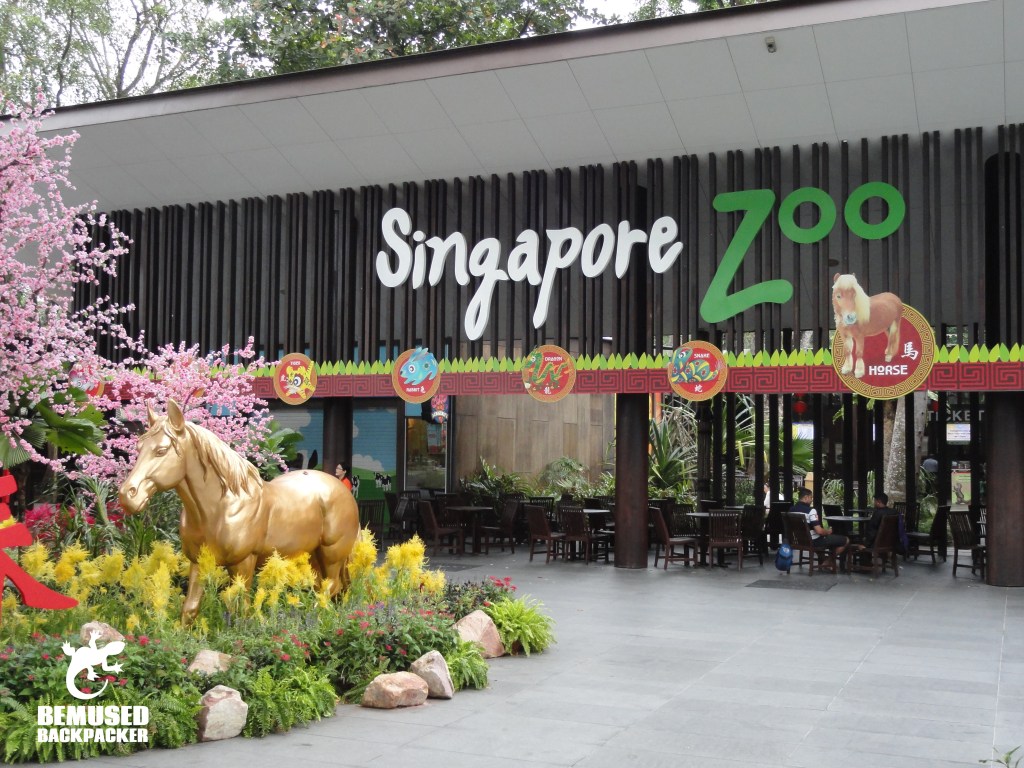 Singapore Zoo Things to do in Singapore
