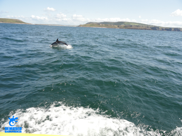 Responsible tourism Gower Coast Wales
