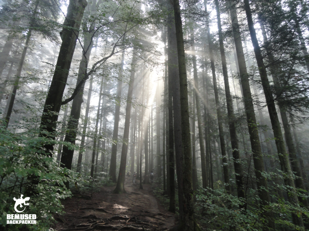 Piatra Neamț Romania Travel