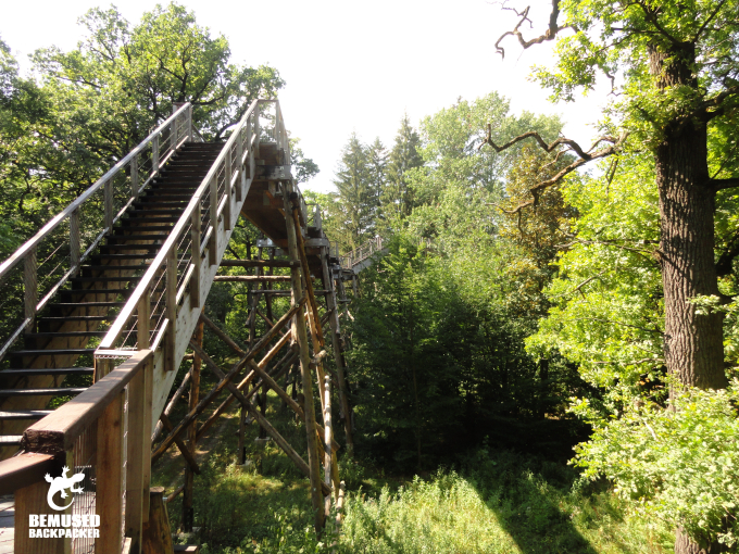 Piatra Neamt Romania Dragos Voda Bison Reserve