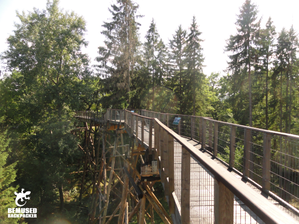 Piatra Neamt Romania Dragos Voda Bison Reserve