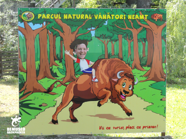 Piatra Neamt Romania Dragos Voda Bison Reserve