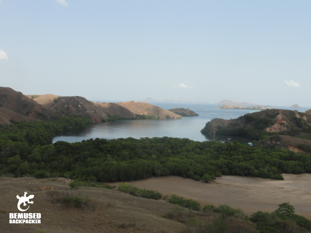 Rinca Island Komodo National Park Indonesia