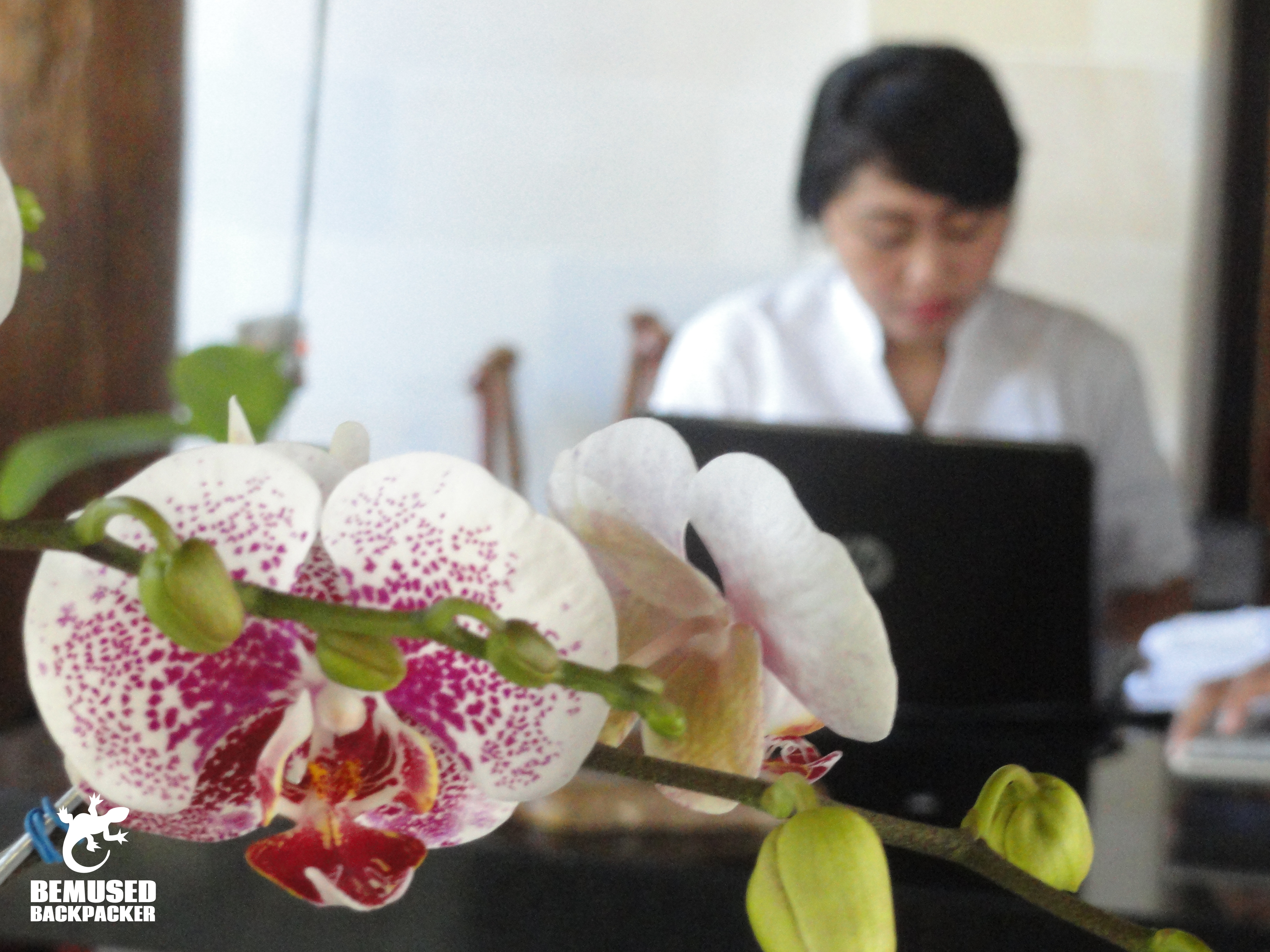 Sri Ratih Cottages Bali reception