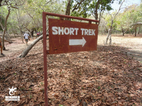 short trek Trekking in Komodo National Park Indonesia