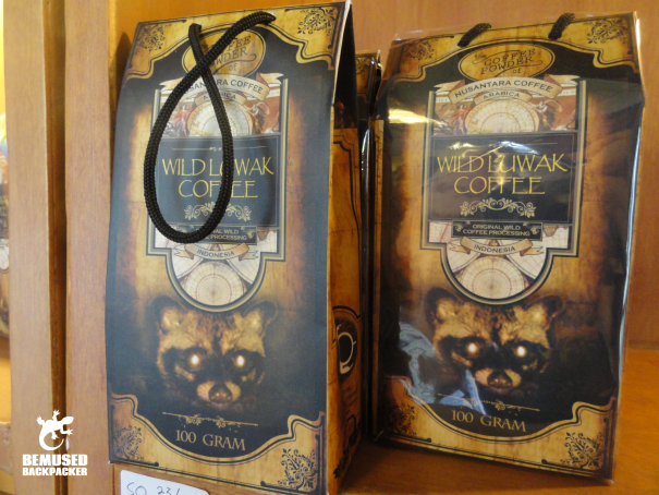 Kopi Luwak civet poo coffee Indonesia