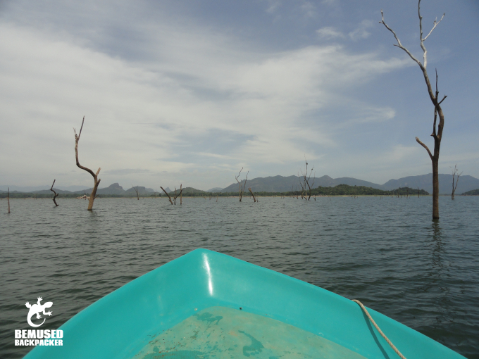 Elephant River Safari Gal Oya National Park Sri Lanka