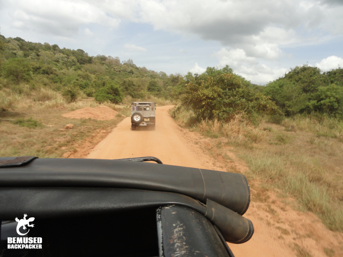 Elephant Safari Jeep Safari Elephant Safari Minneriya National Park Sri Lanka