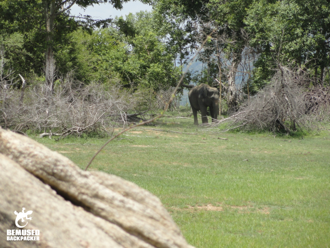Elephant Safari Responsible Tourism Gal Oya National Park Sri Lanka
