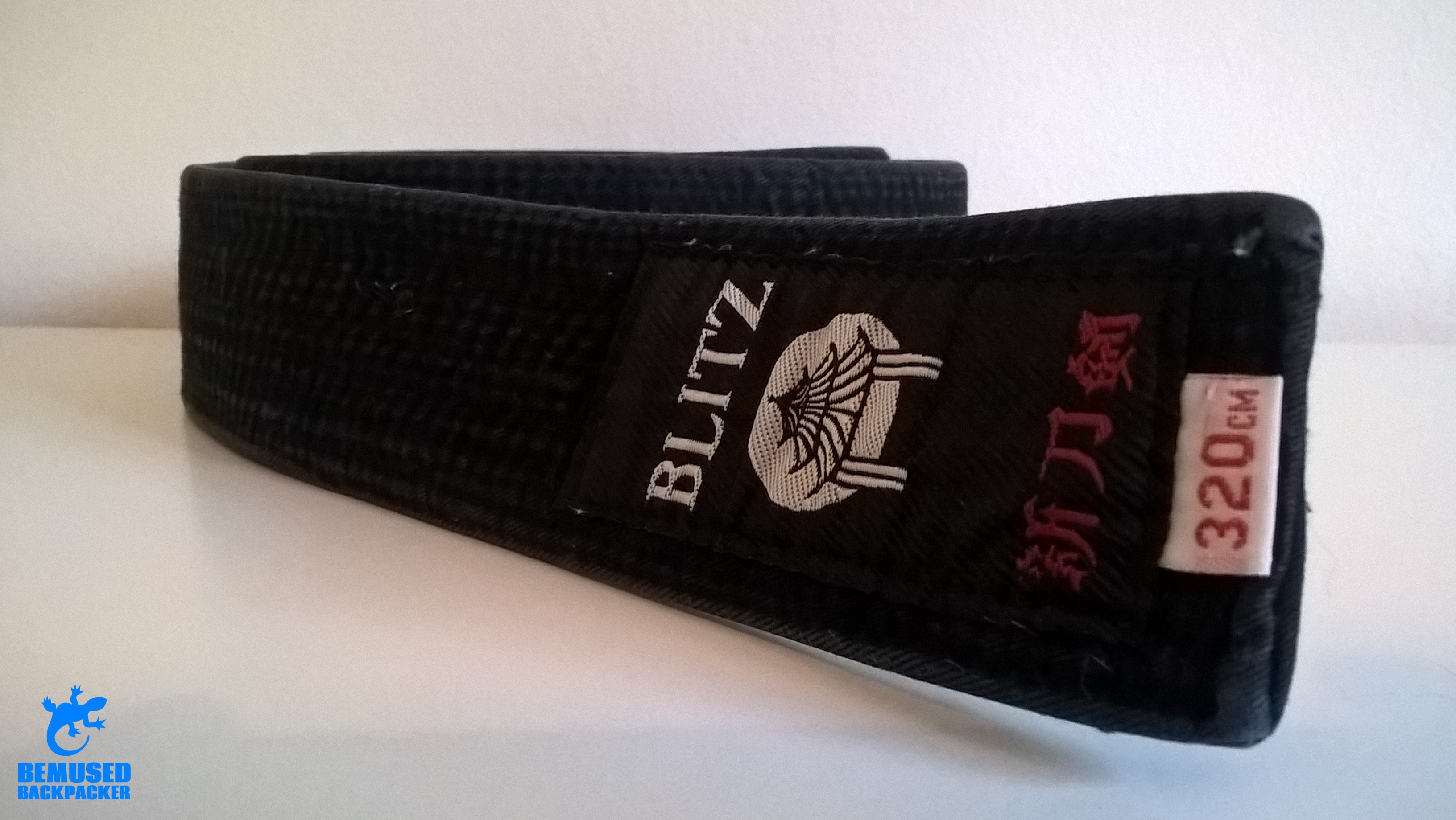 Should you take up martial arts or self defence before travelling the world