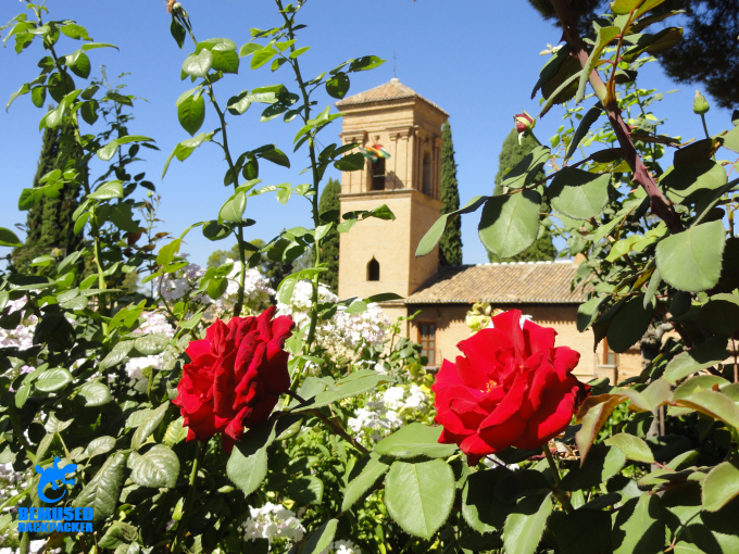 Granada Spain City Break Travel Tips