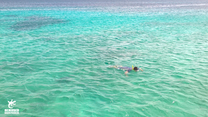 Michael Huxley Adventure Travel Snorkeling Aruba