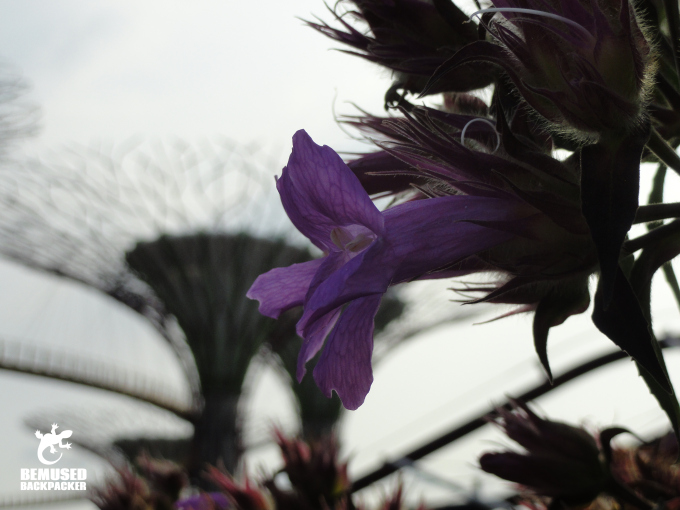 Singapore Gardens By The Bay