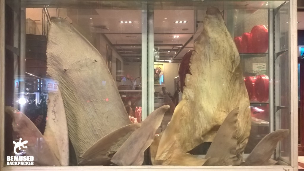 shark fin soup conservation