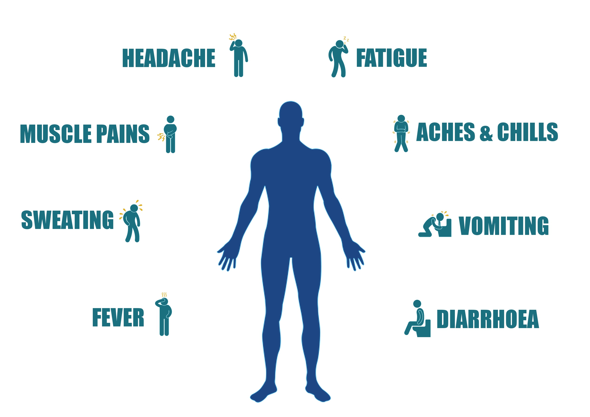 Bemused Backpacker Symptoms of Malaria