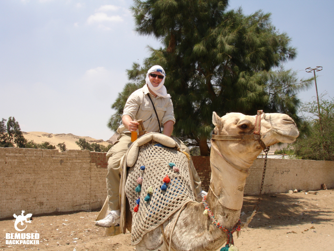 responsible camel safari Egypt