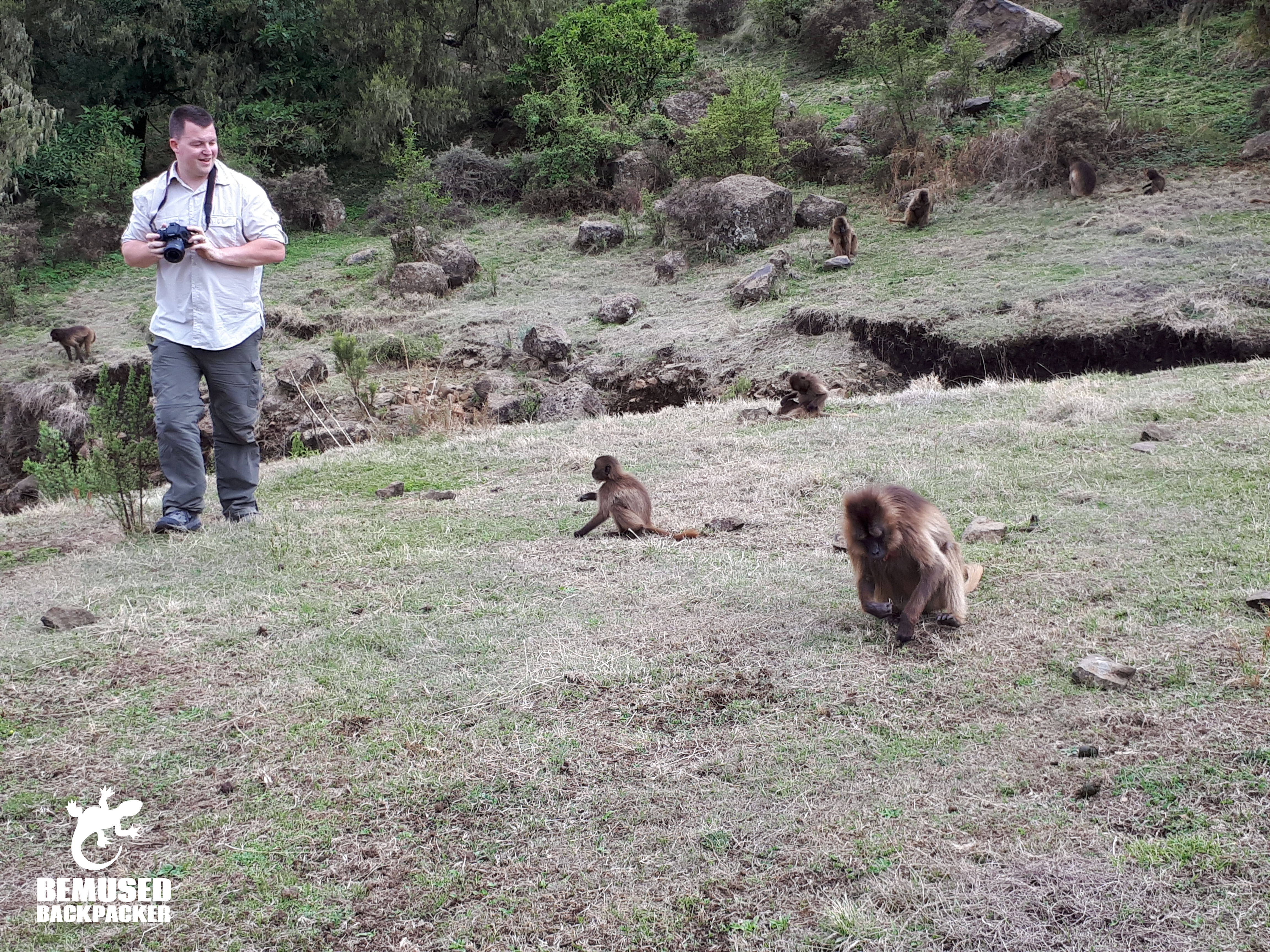 Michael Huxley Monkeys in Simien National Park Ethiopia
