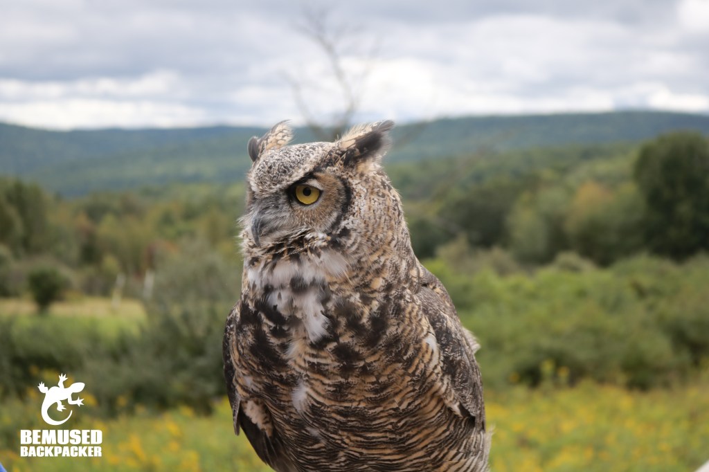 Tanglewood Nature Center in Finger Lakes New York Volunteering