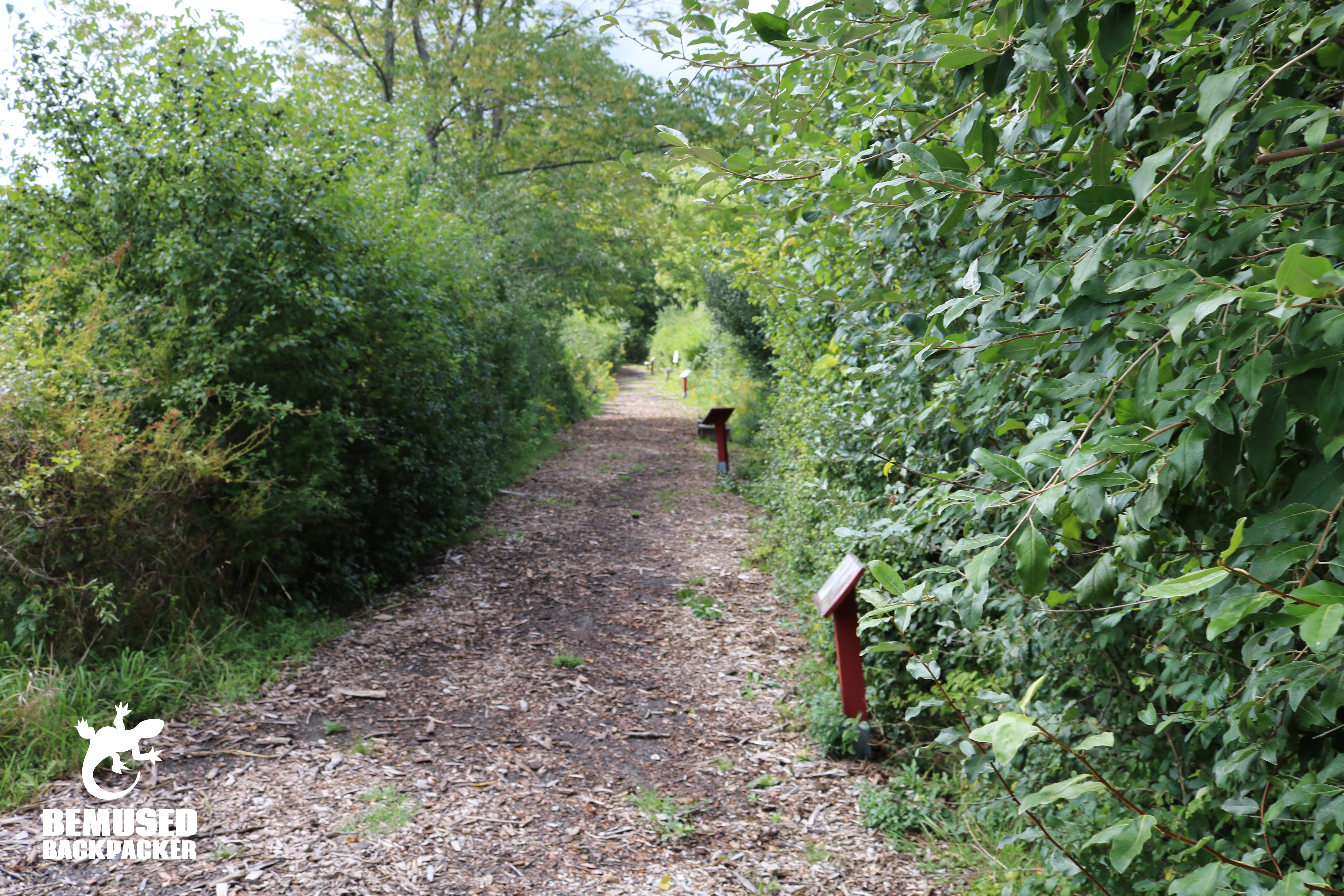 Walking trail at Tanglewood Nature Center in Finger Lakes New York