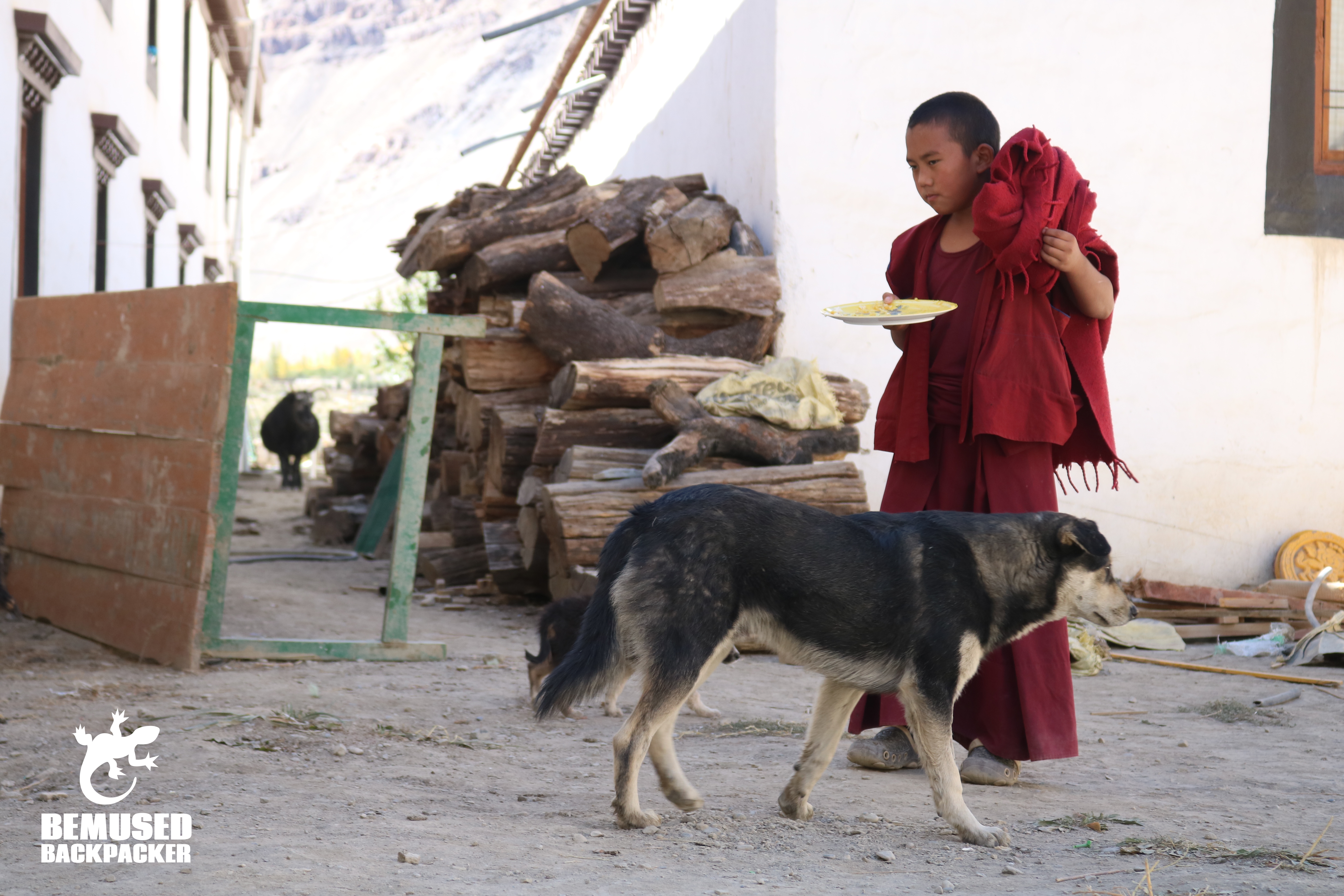 Himalaya Road Trip Buddhist Monk with Dog