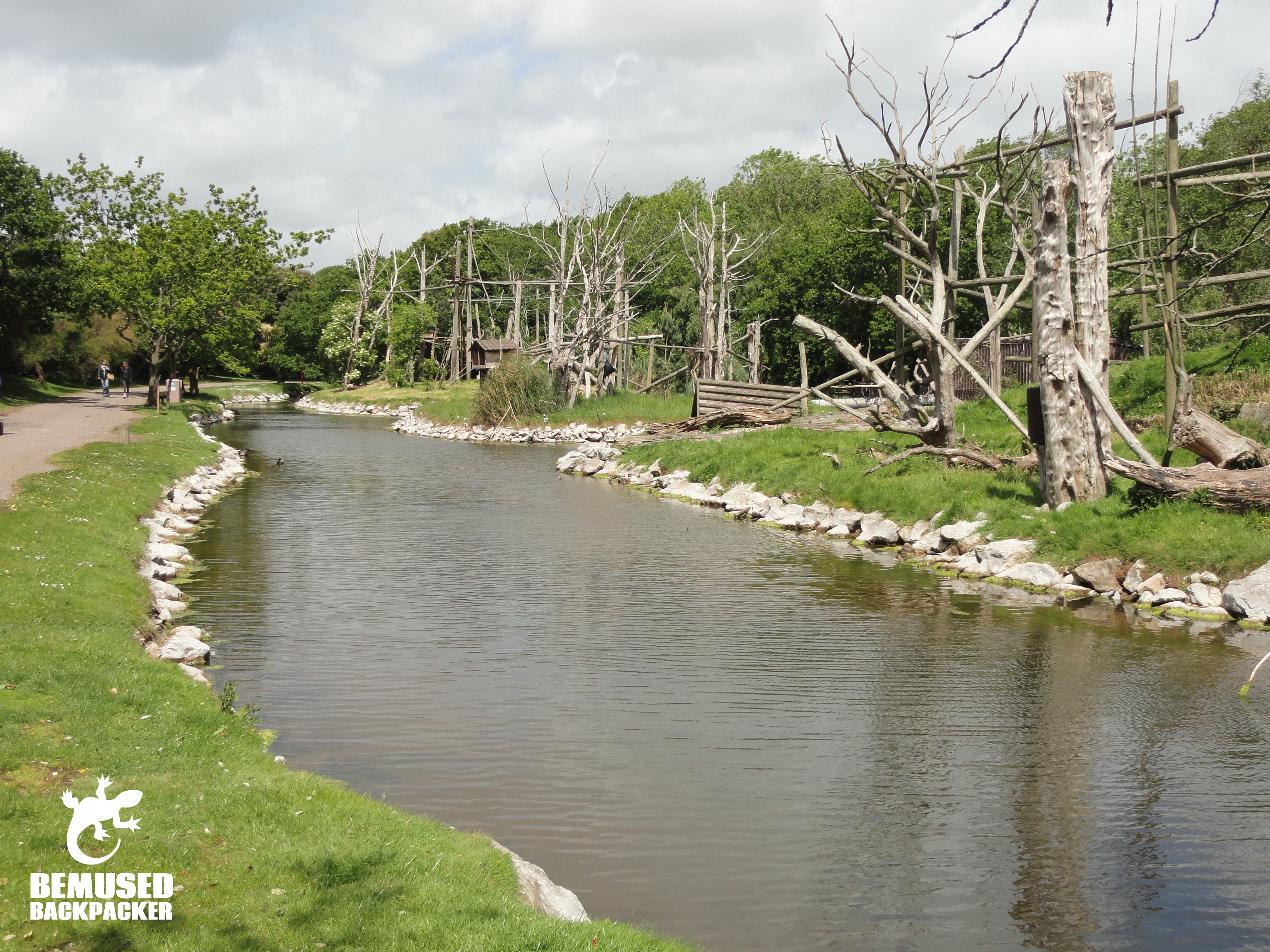 FOTA wildlife park Cork Ireland