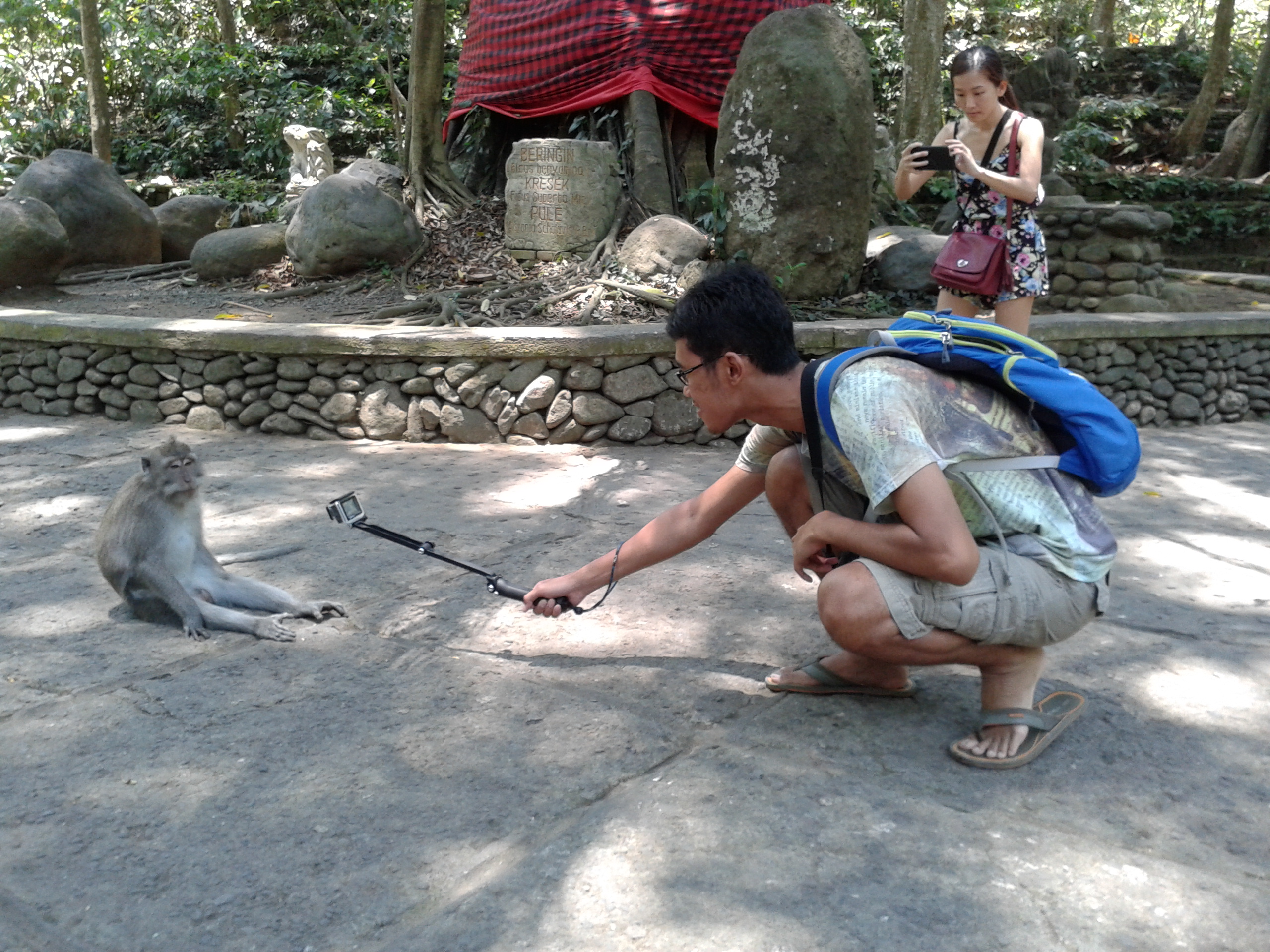 Responsible wildlife tourism photography and ethical travel