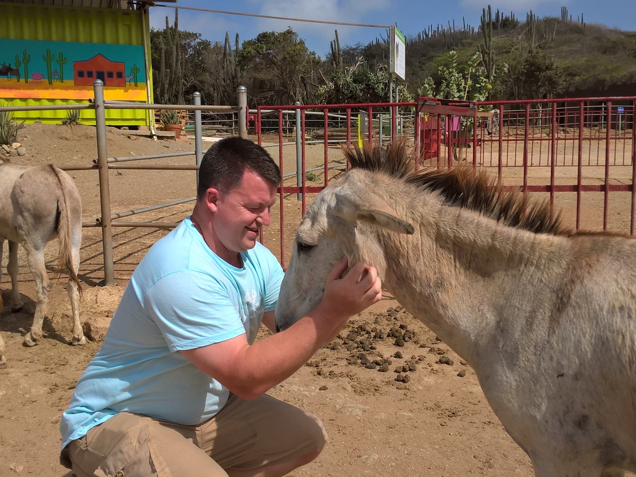 Michael Huxley Gap Year Aruba Donkey Sanctuary